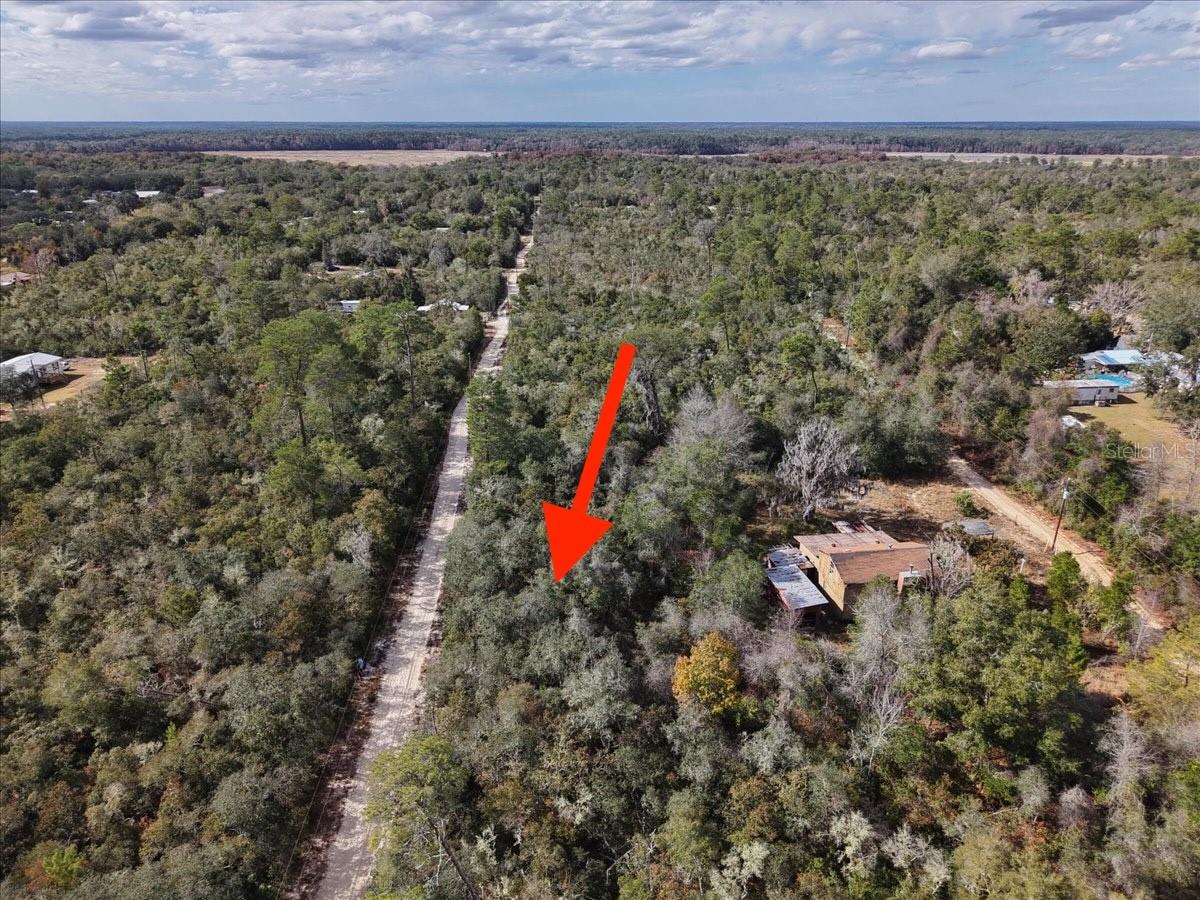 OCALA NATIONAL FOREST CAMPSITES - Land