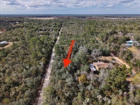 Tiny photo for NE 233rd Lane, Fort Mccoy, FL 32134 (MLS # O6367388)