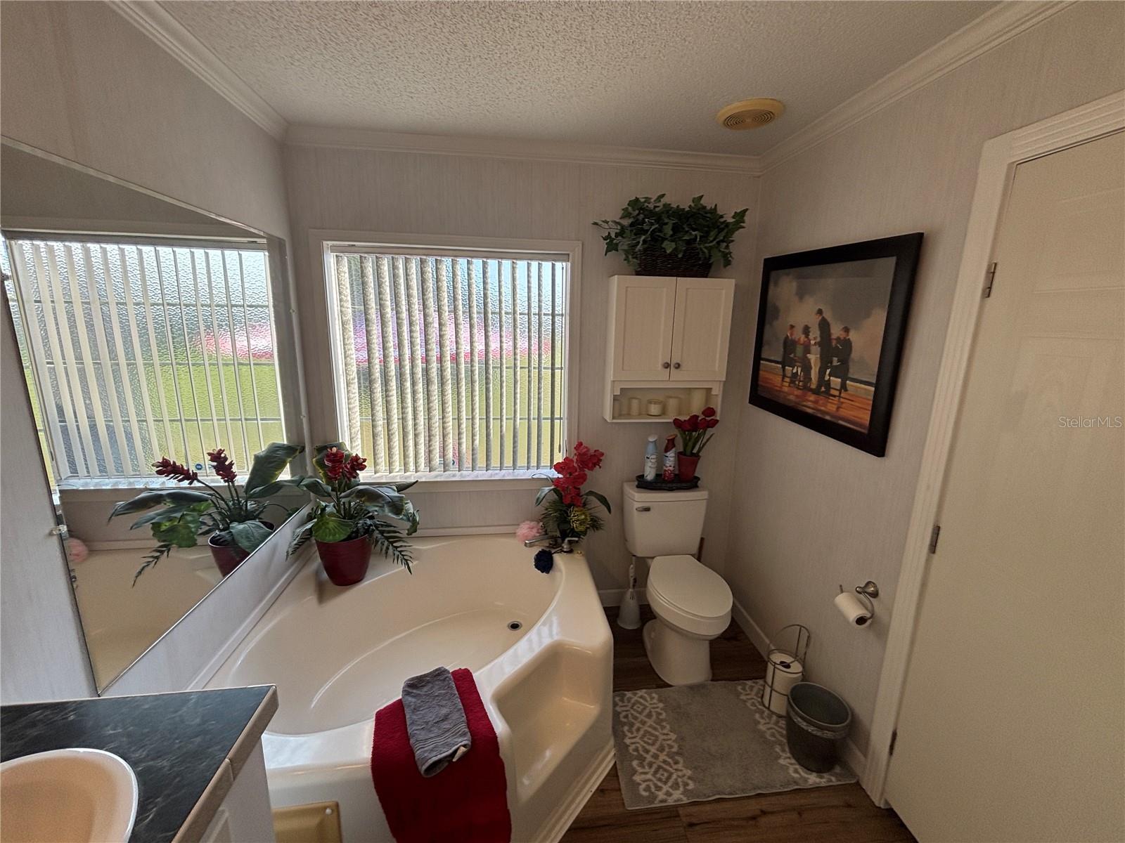 WOODS & LAKES - Residential