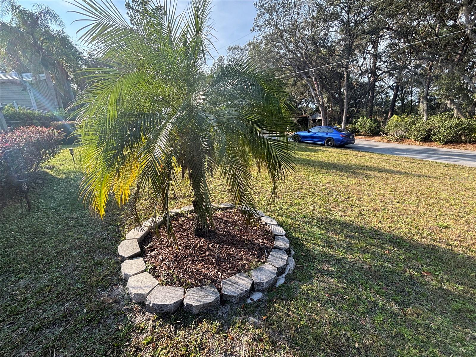 WOODS & LAKES - Residential