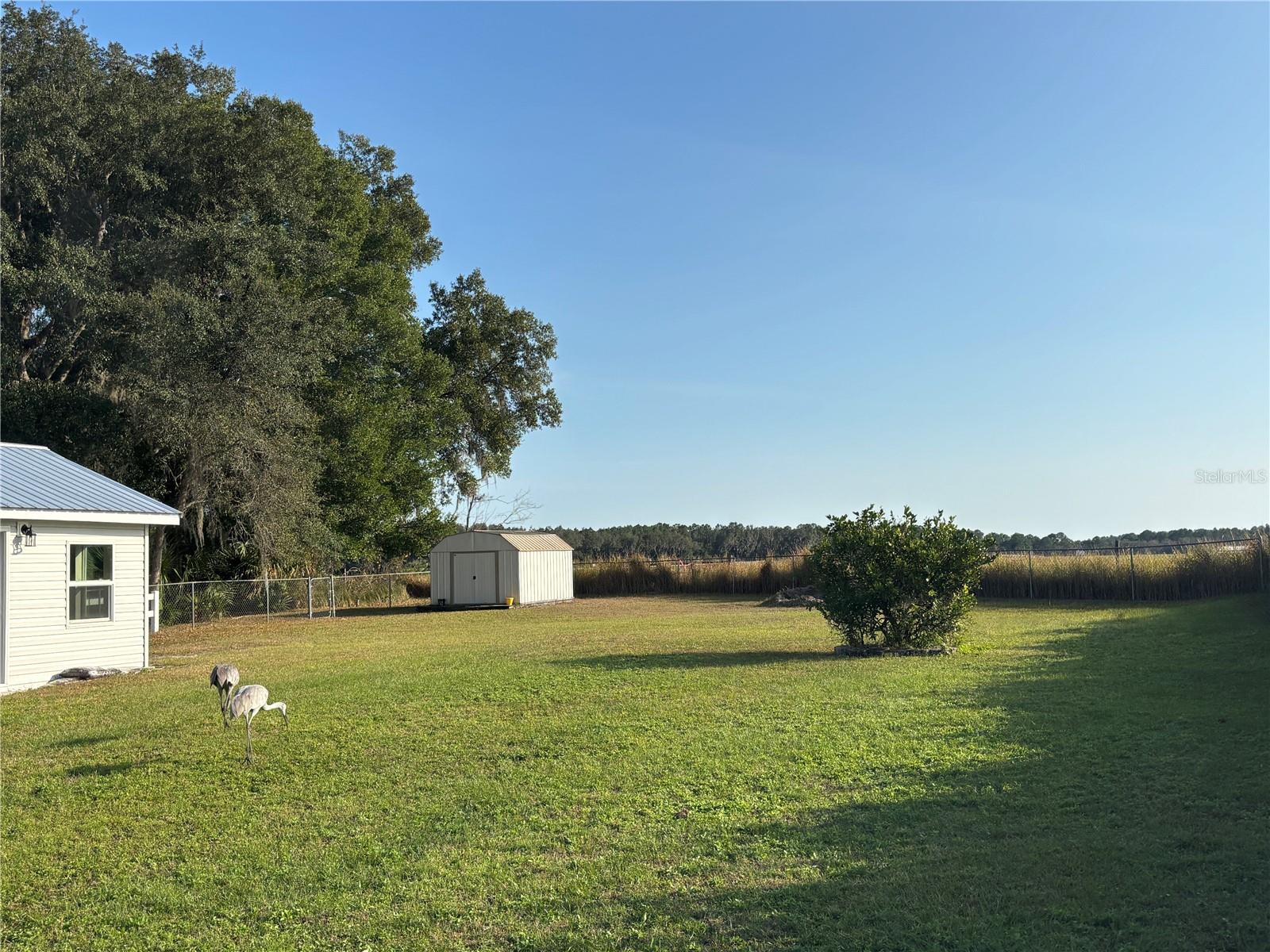 WOODS & LAKES - Residential