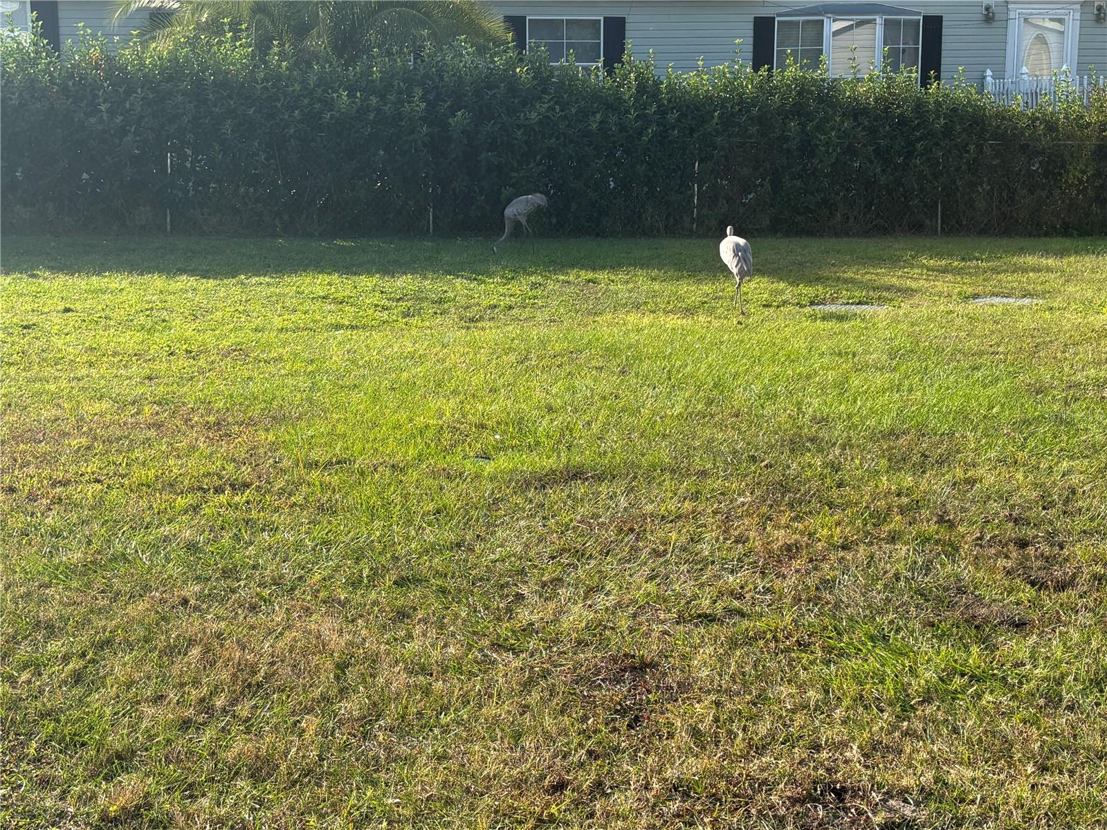 WOODS & LAKES - Residential