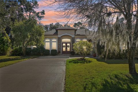 Photo of 15410 17th Avenue E, Bradenton, FL 34212 (MLS # A4679521)