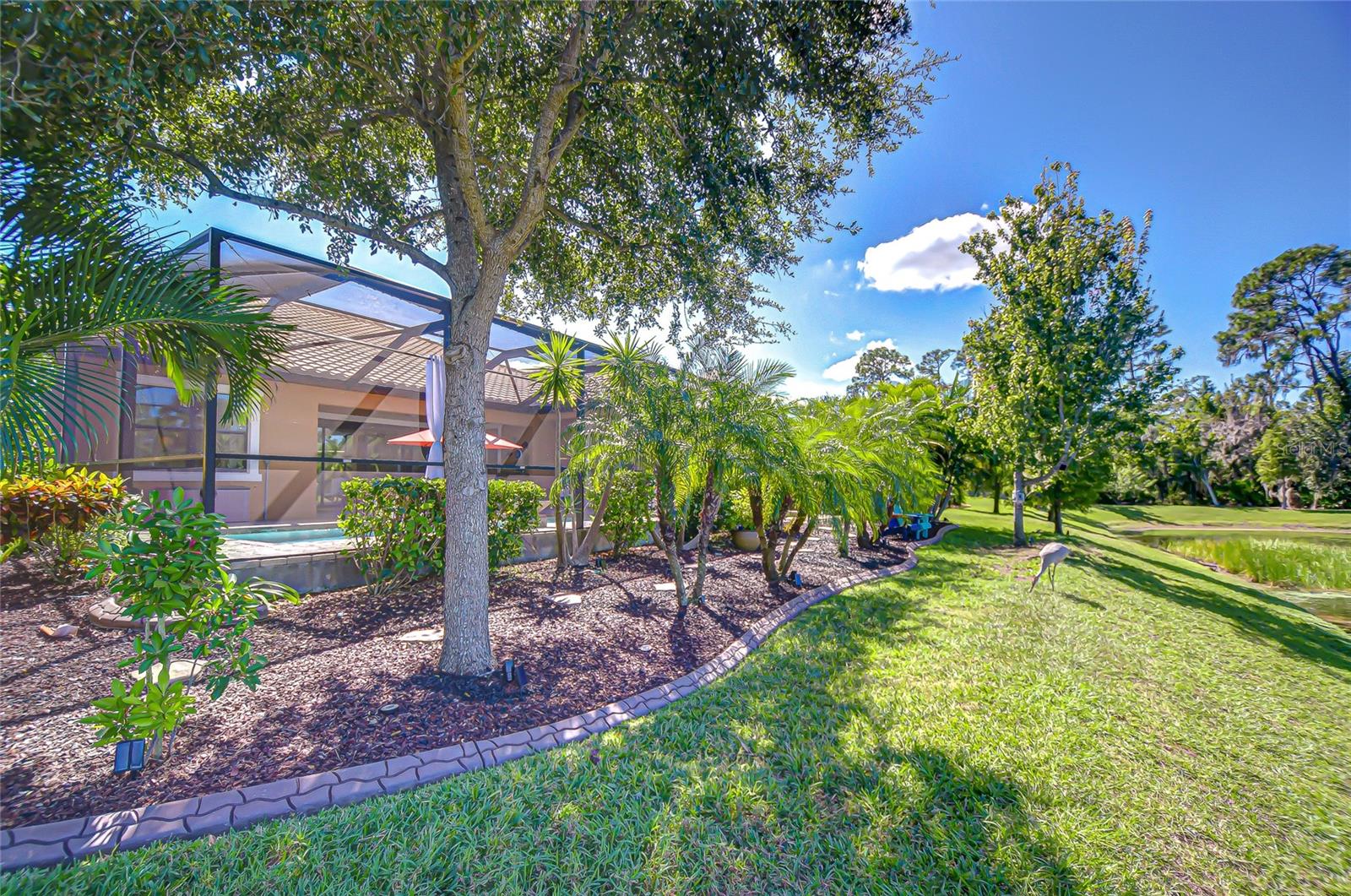 WATERLEAF - Residential