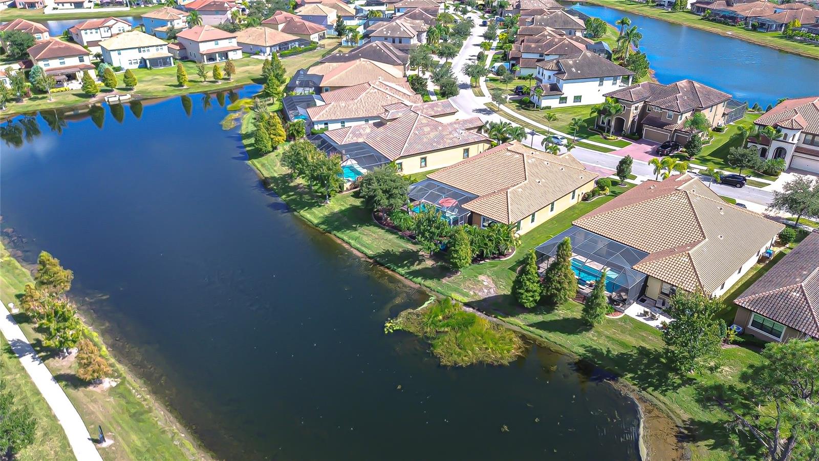 WATERLEAF - Residential