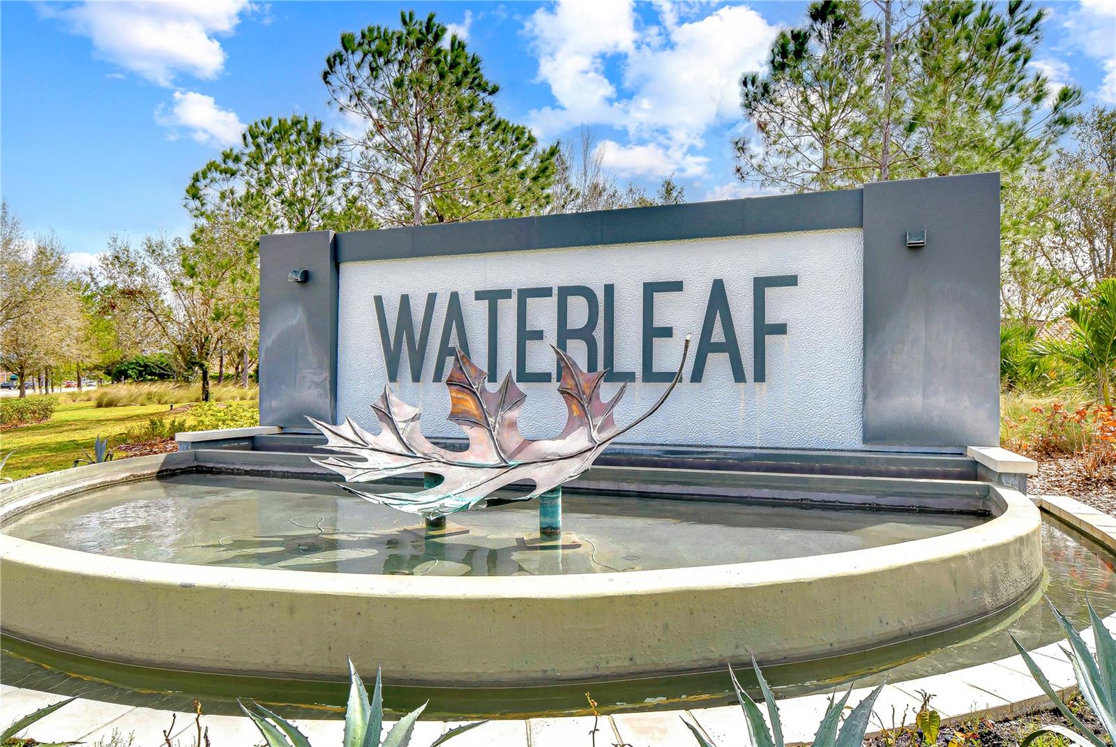 WATERLEAF - Residential