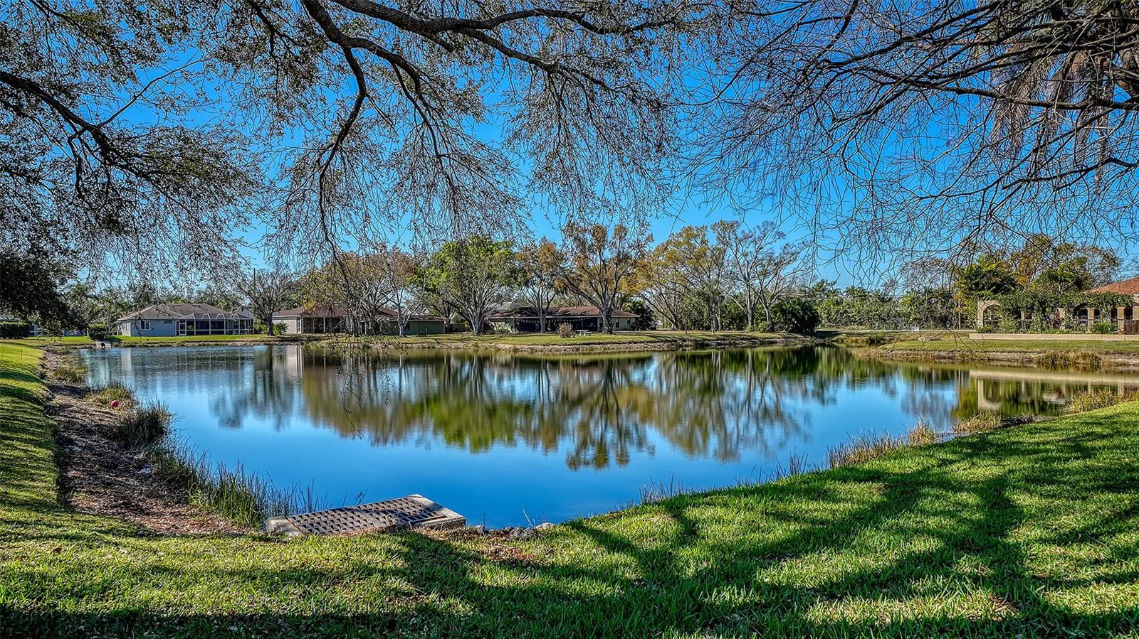 MAGNOLIA POND - Residential