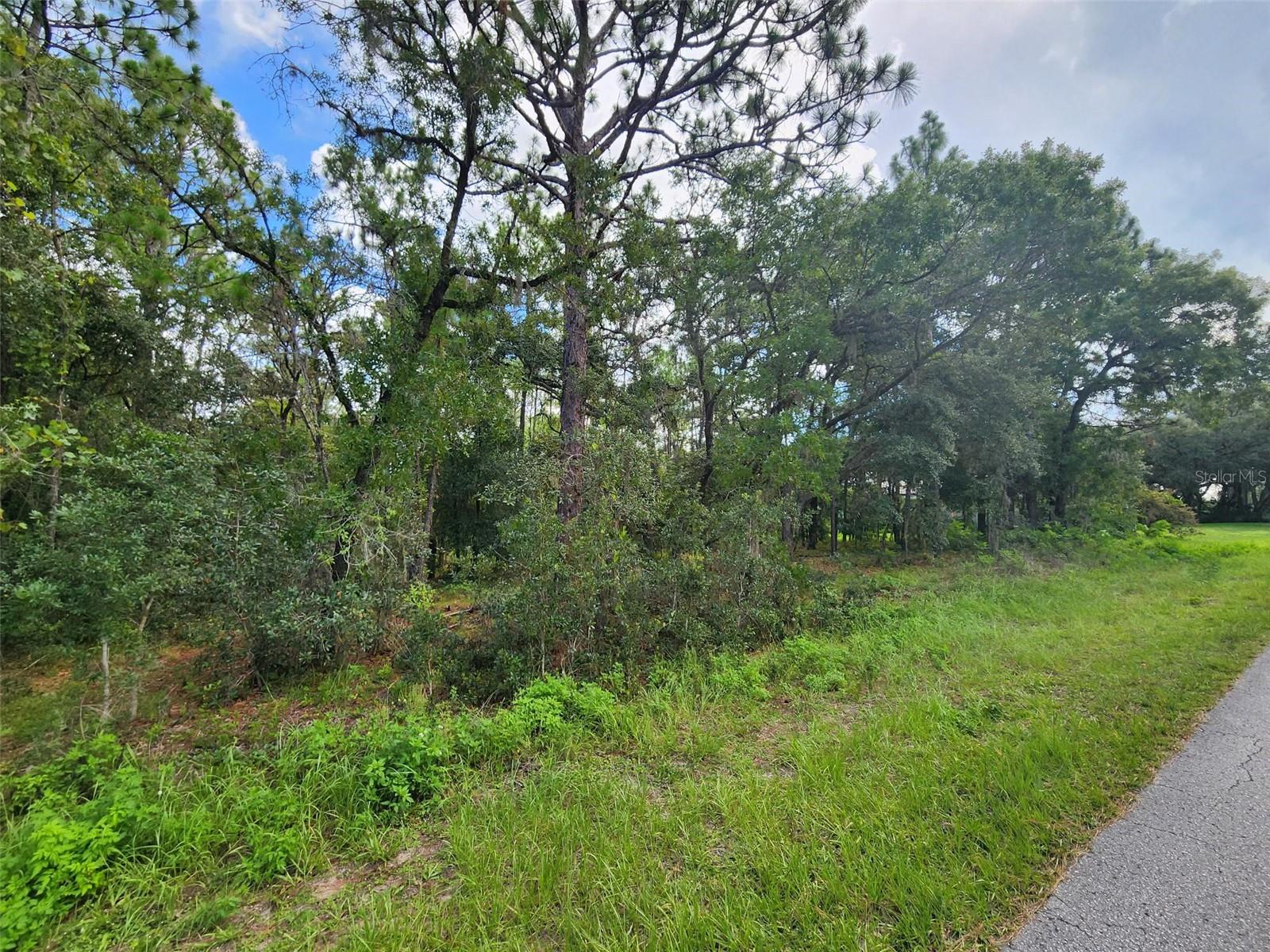 Prime 1.04 acre building lot in established neighborhood of Citrus Springs.