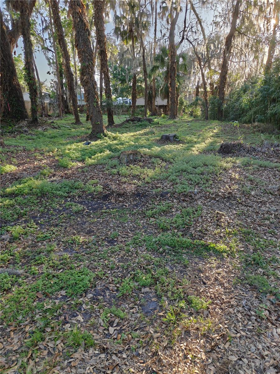 FLORIDA SHORES 01 - Land