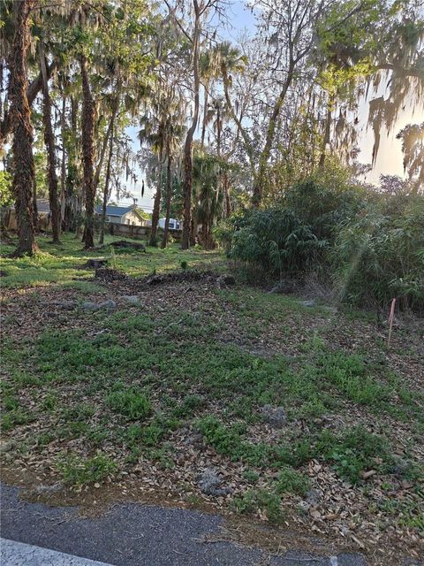 Photo of 2214 Needle Palm Drive, Edgewater, FL 32141 (MLS # V4948220)