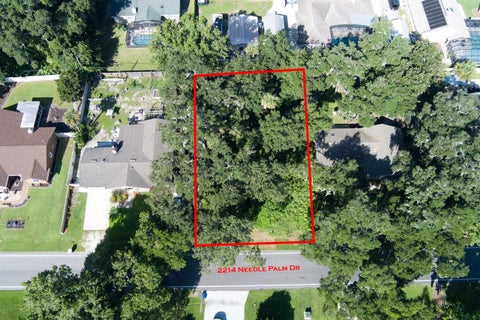 Photo of 2214 Needle Palm Drive, Edgewater, FL 32141 (MLS # V4948220)