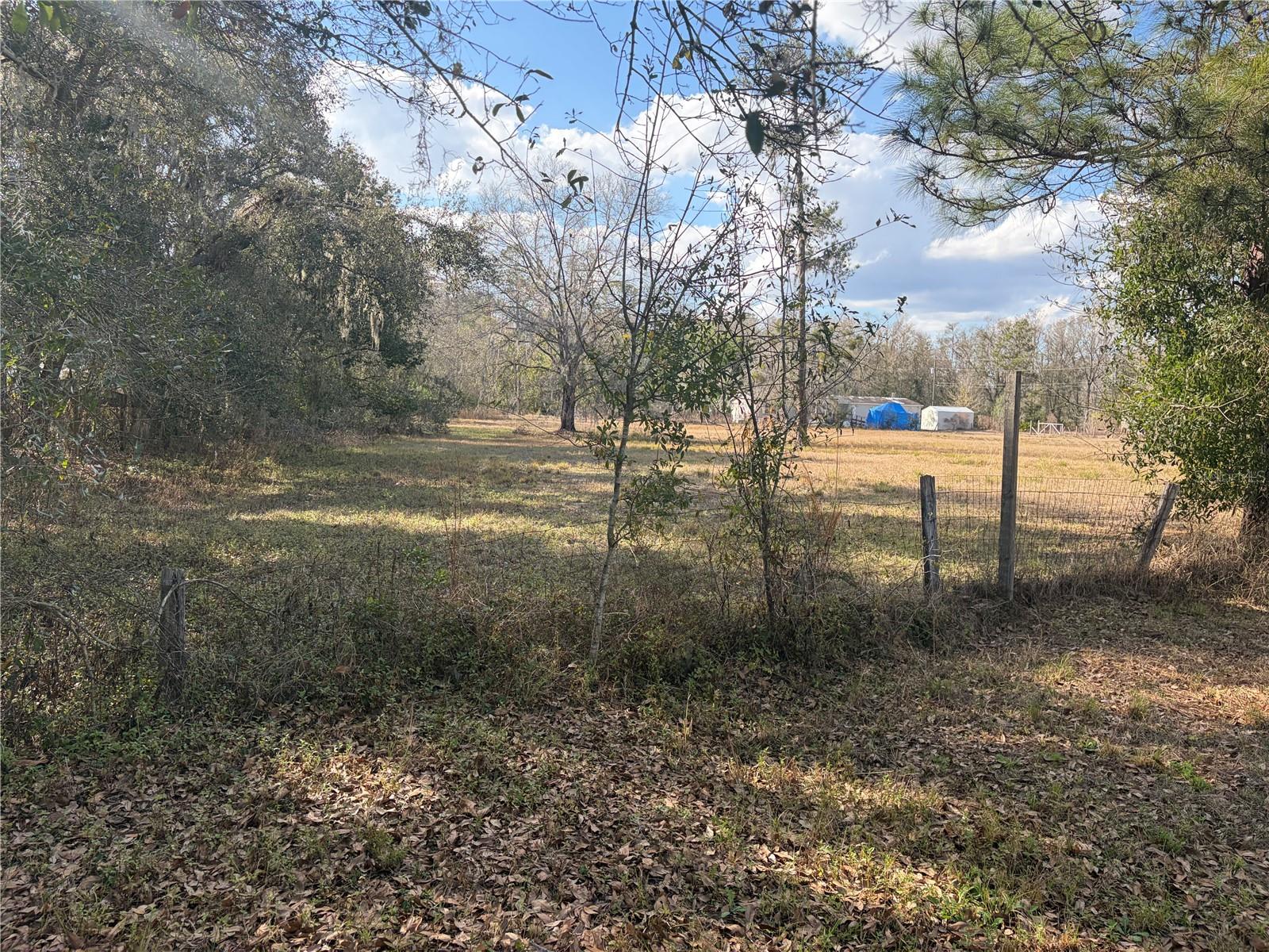 ANGUS VALLEY - Residential