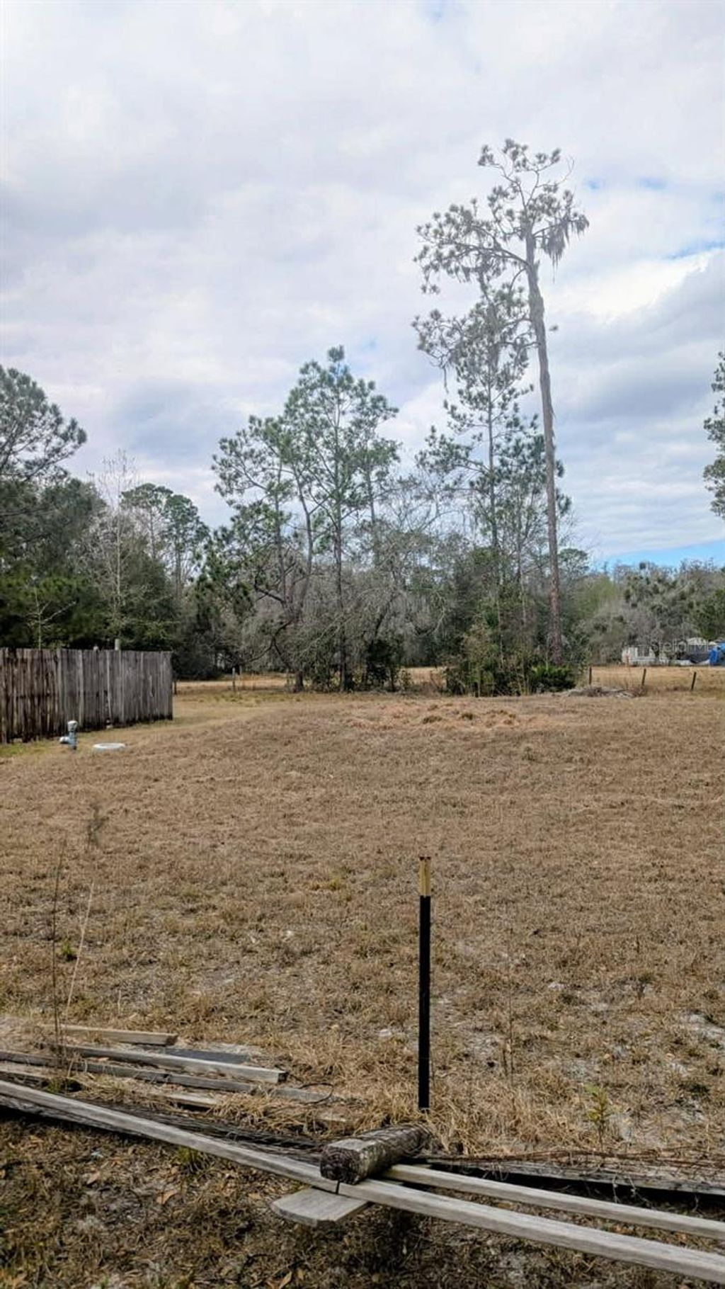 Photo of 6905 Pearson Lane, Wesley Chapel, FL 33544 (MLS # W7883265)