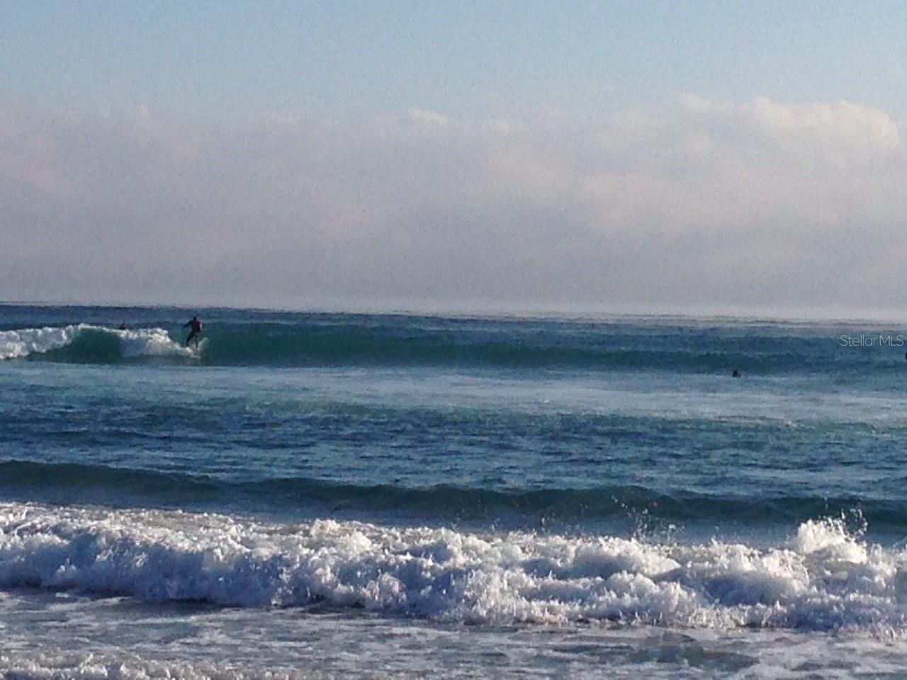 HAMMOCK BEACH - Residential