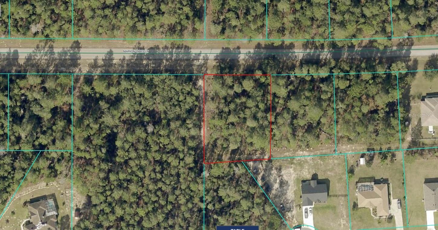 Private Large Home Site in Marion Oaks! Build your dream home on this premium lot in the thriving community of Marion Oaks! Enjoy paved road frontage and no HOA restrictions in a location that offers both convenience and tranquility. Just minutes from I-75, schools, shopping, dining, medical facilities, and the Marion Oaks Recreation & Fitness Center, this lot is perfectly situated for your future home or investment. Don’t miss this opportunity—secure your piece of Marion Oaks today!