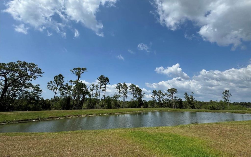Photo of 8922 Little Bluestem Drive, Land O Lakes, FL 34637 (MLS # TB8468163)