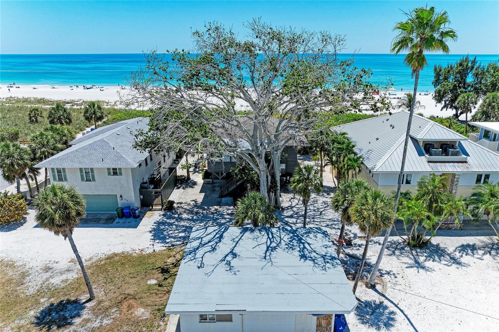 102 PALMETTO AVENUE