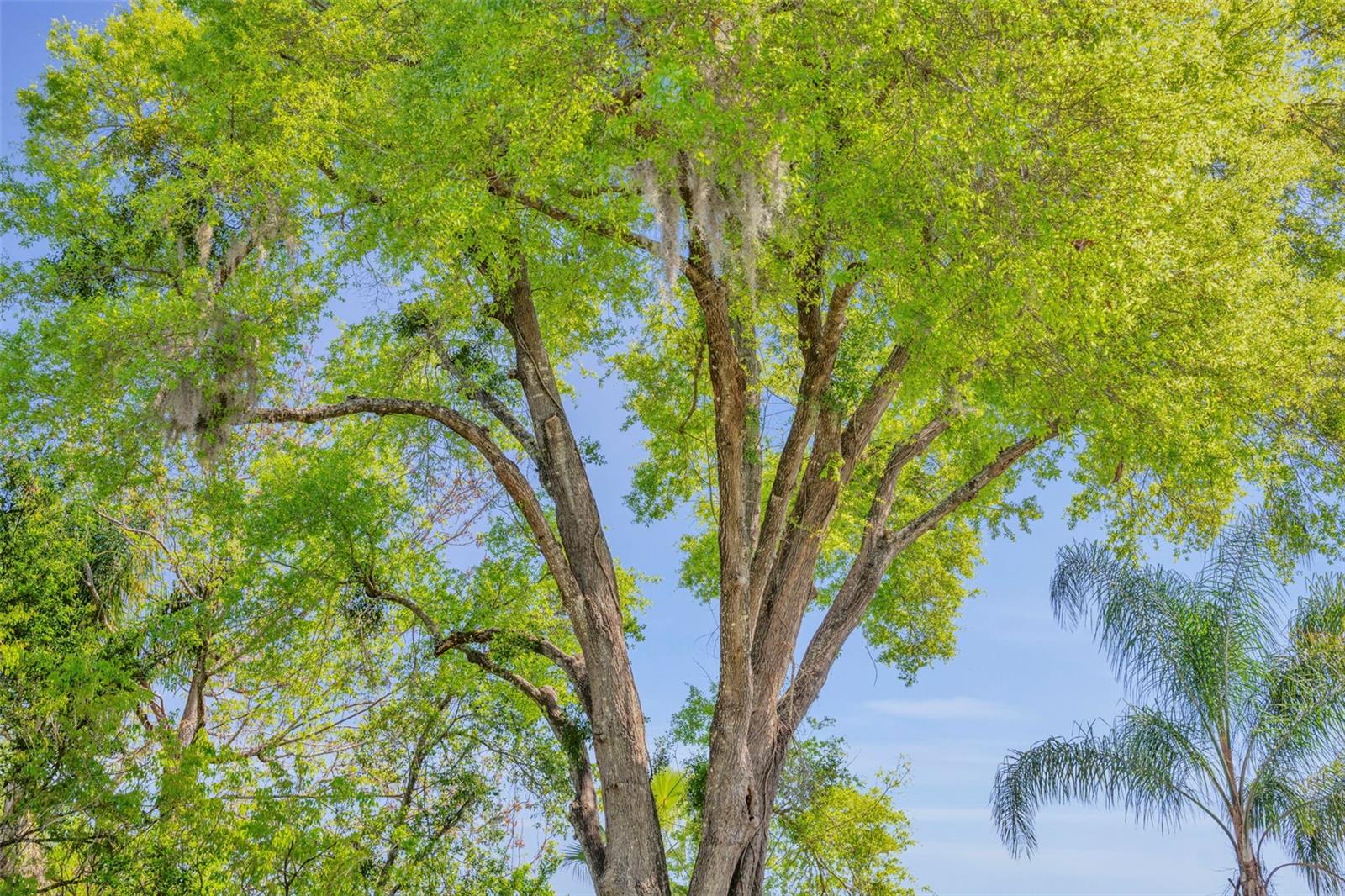 WEKIWA GLEN REP - Residential