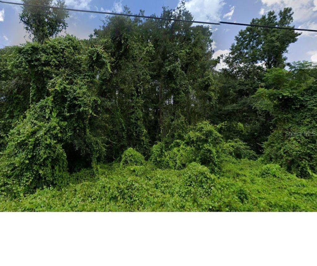 Photo of Oconee Boulevard, New Port Richey, FL 34654 (MLS # W7879191)