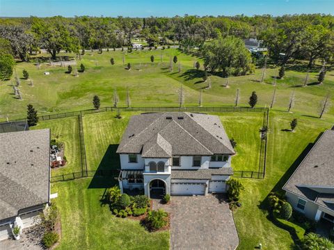 3020 SILVA WOOD DRIVE VALRICO FL 33596
