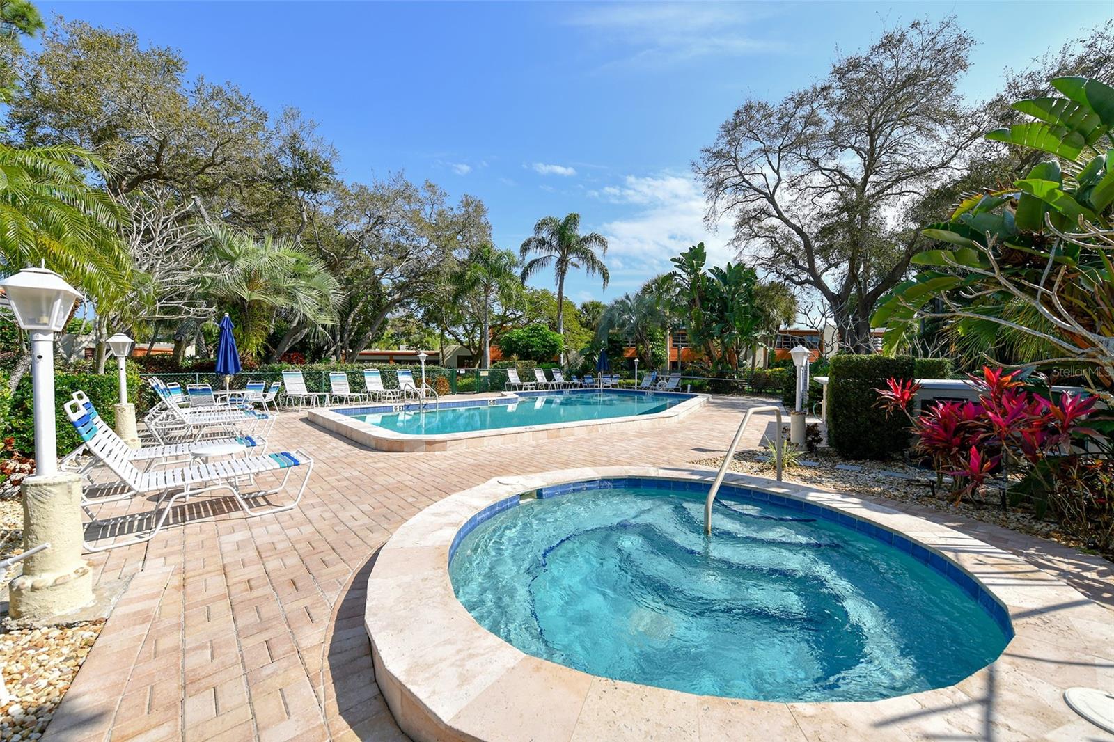 WILDEWOOD SPGS STAGE 4D OF PALM TREE - Residential