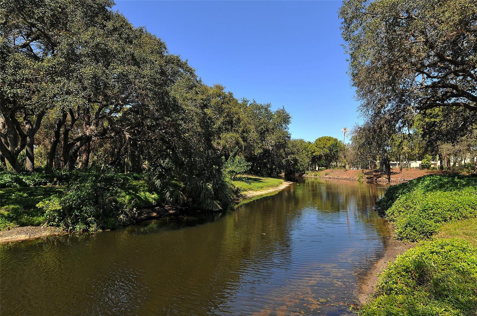 WILDEWOOD SPGS STAGE 4D OF PALM TREE - Residential