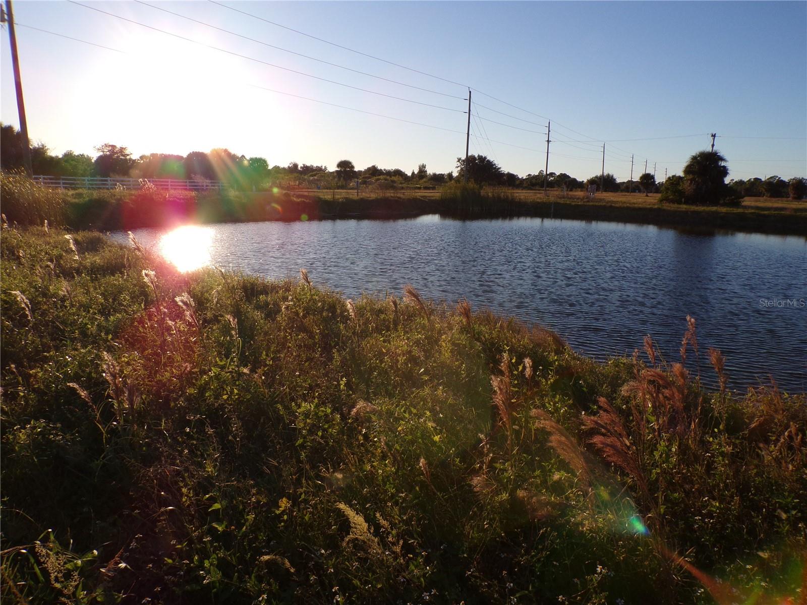 ROTONDA MEADOWS - Land