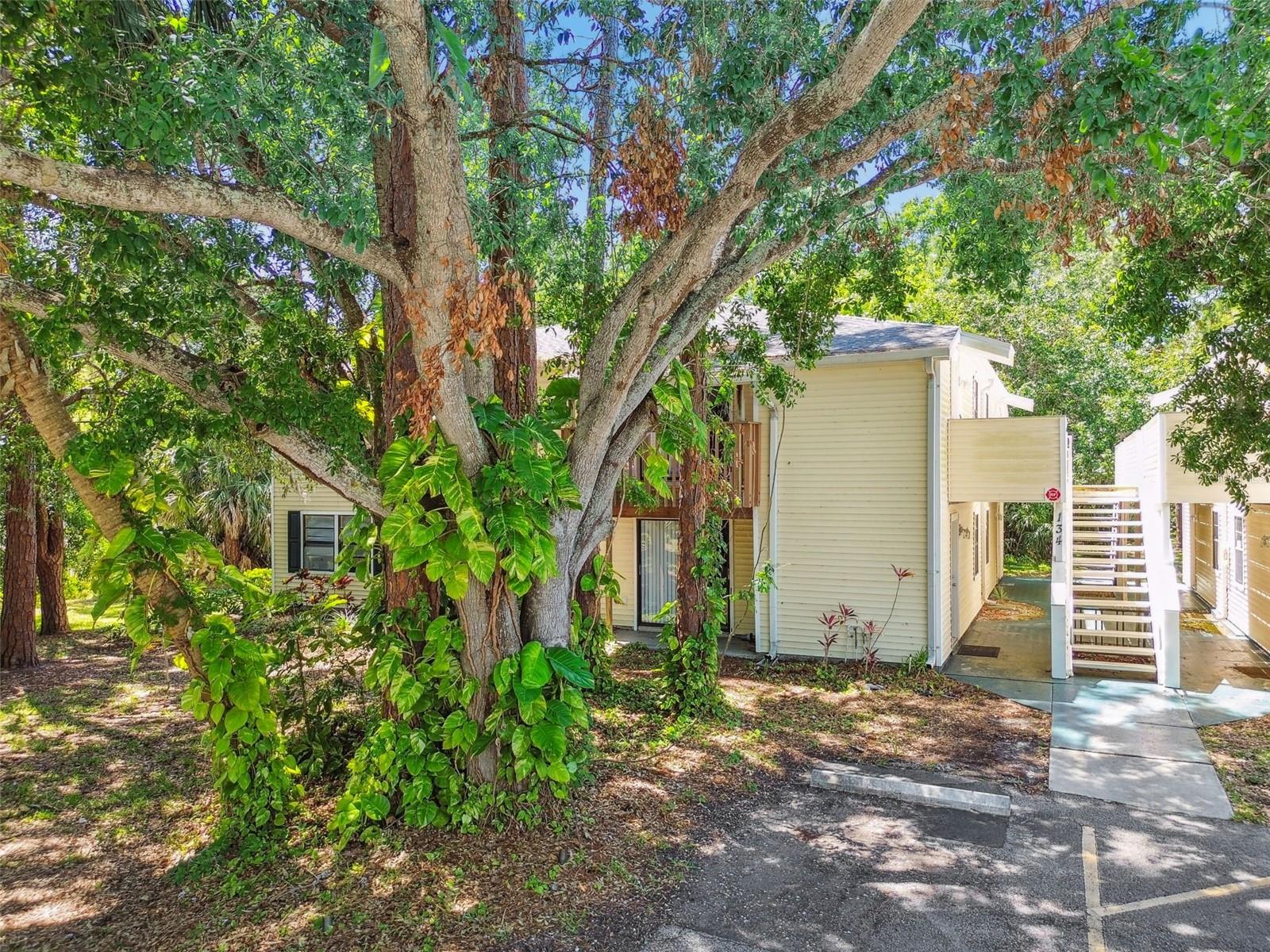 GARDENS OF FOREST LAKES CONDO THE - Residential