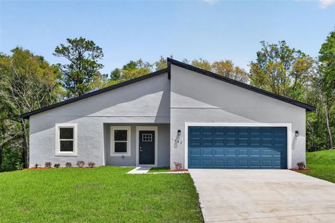 Photo of 1243 W Shady Lane, Citrus Springs, FL 34434 (MLS # O6399682)