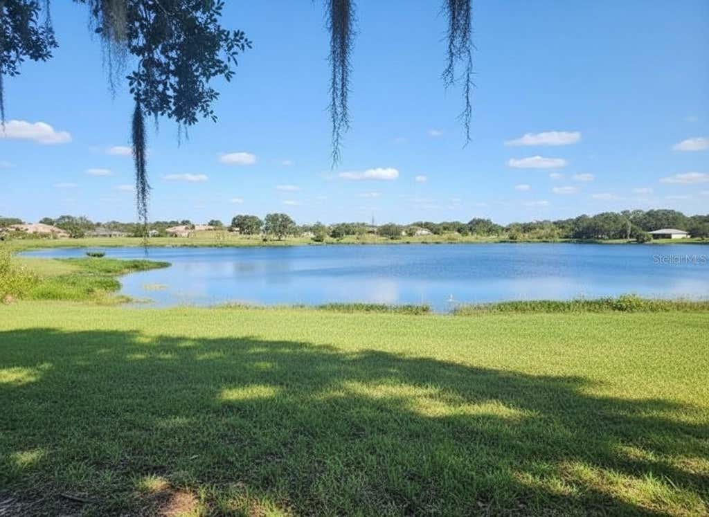 Photo of 14322 Lake Junietta Drive, Tavares, FL 32778 (MLS # O6434462)