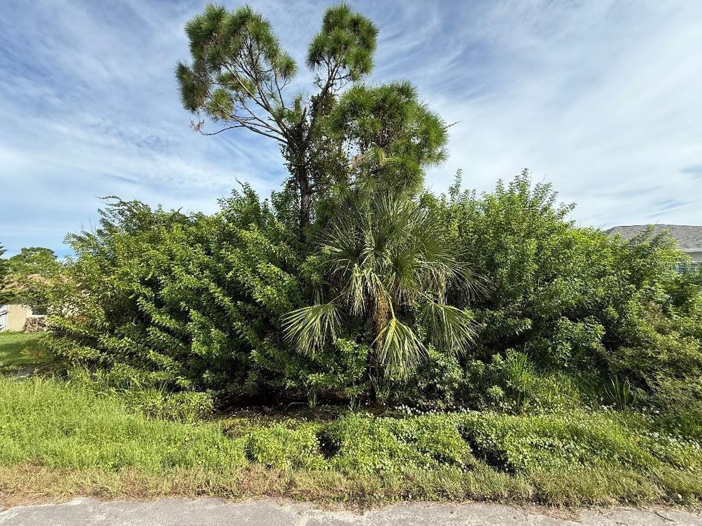 Photo of 10436 Kidron Avenue, Englewood, FL 34224 (MLS # N6140660)