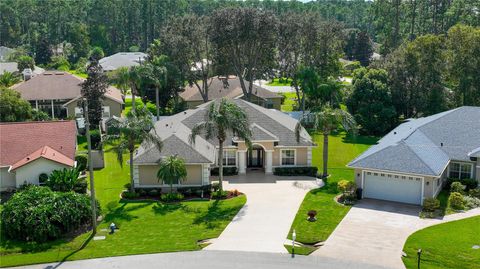 A home in PALM COAST