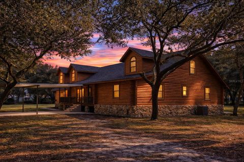 Photo of 6892 Swain Road, Sorrento, FL 32776 (MLS # G5107693)