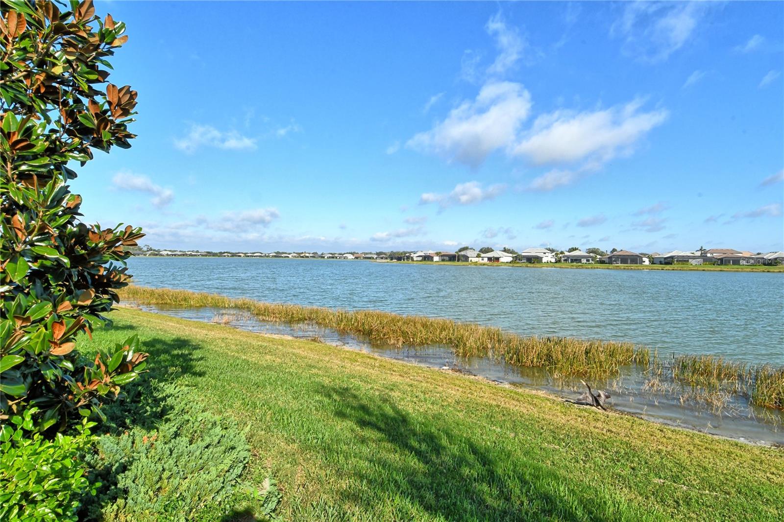 SHOREVIEW/LAKEWOOD RANCH WATER - Residential