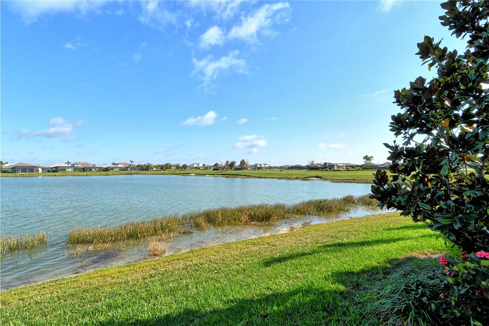 SHOREVIEW/LAKEWOOD RANCH WATER - Residential