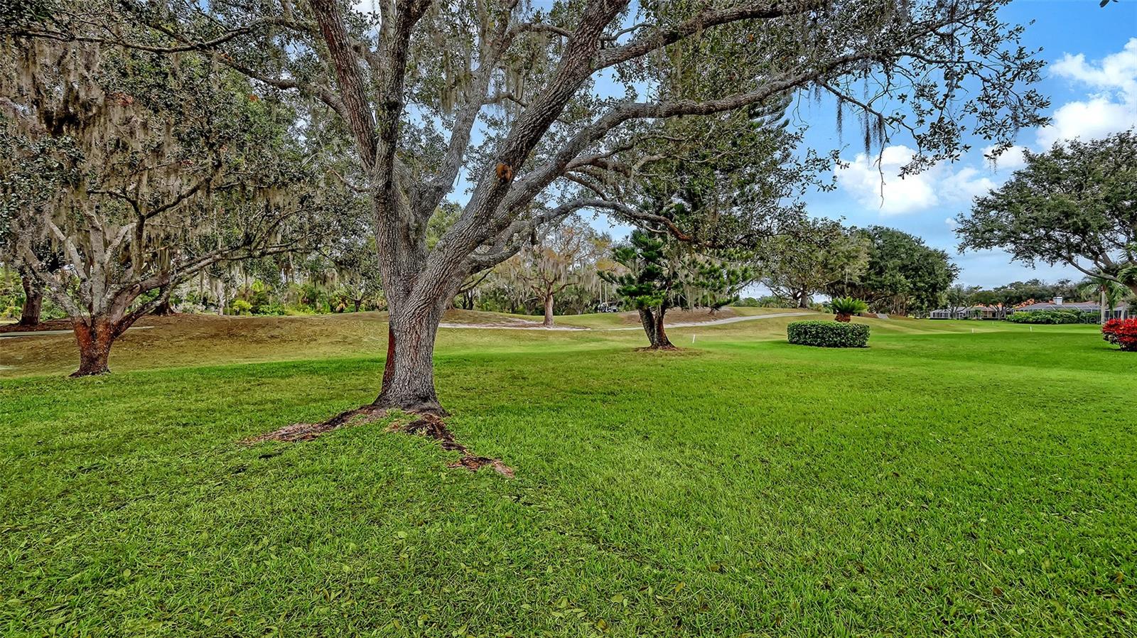 SERENOA - Residential