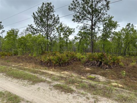 Photo of SW 95th Pl, Dunnellon, FL 34432 (MLS # OM722706)