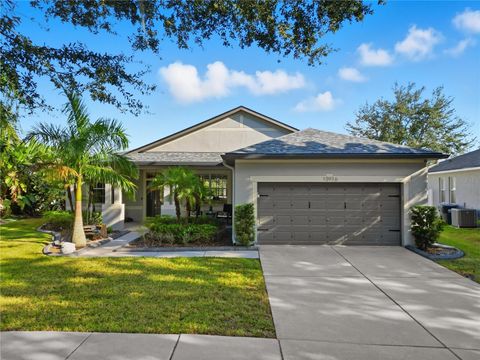 10916 HOLLY CONE DRIVE RIVERVIEW FL 33569