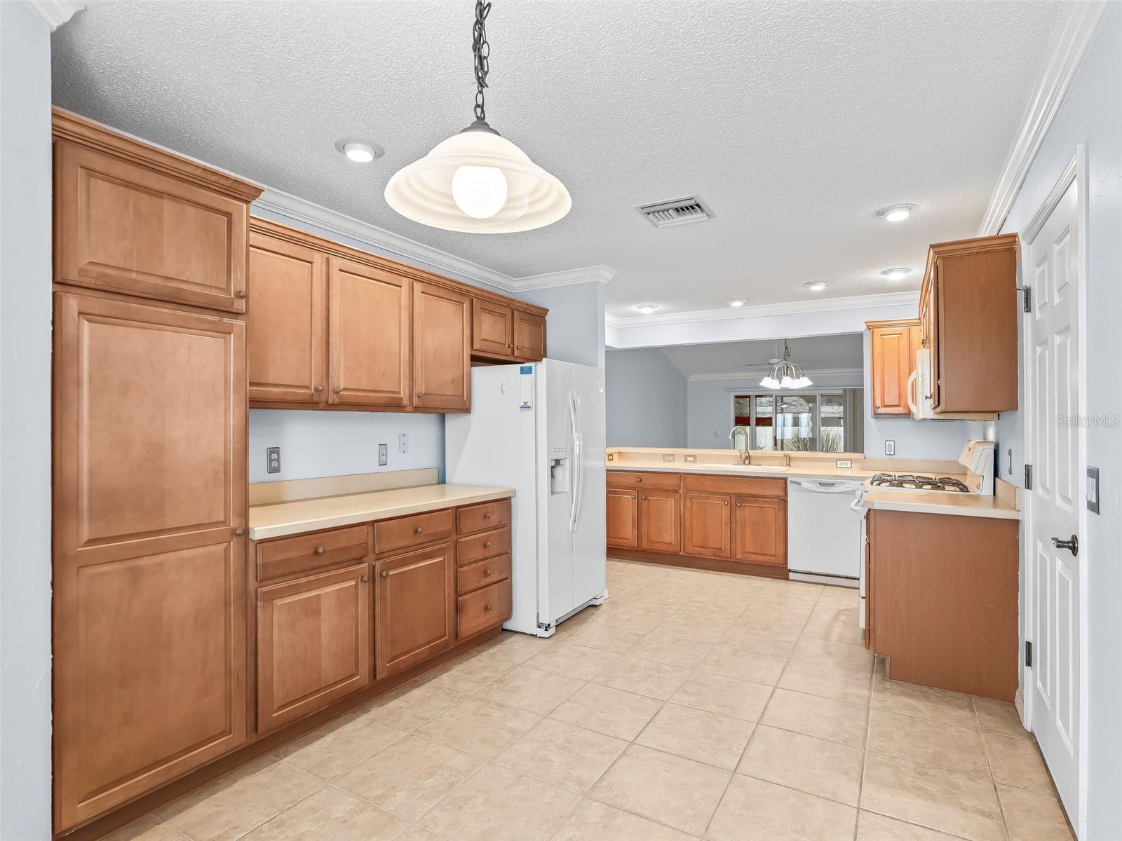 THE VILLAGES - Residential