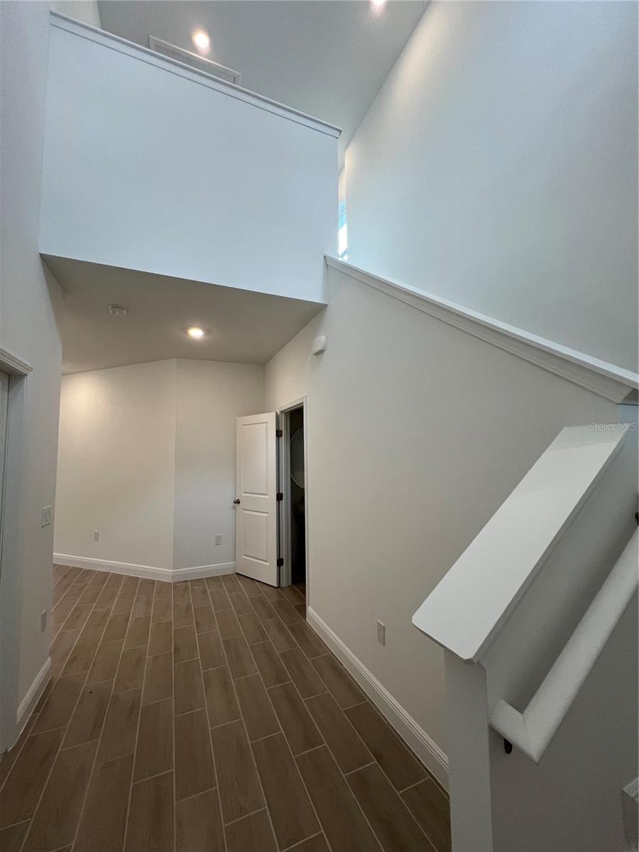 HILLS OF MINNEOLA - Residential