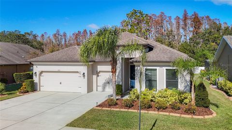 A home in WESLEY CHAPEL