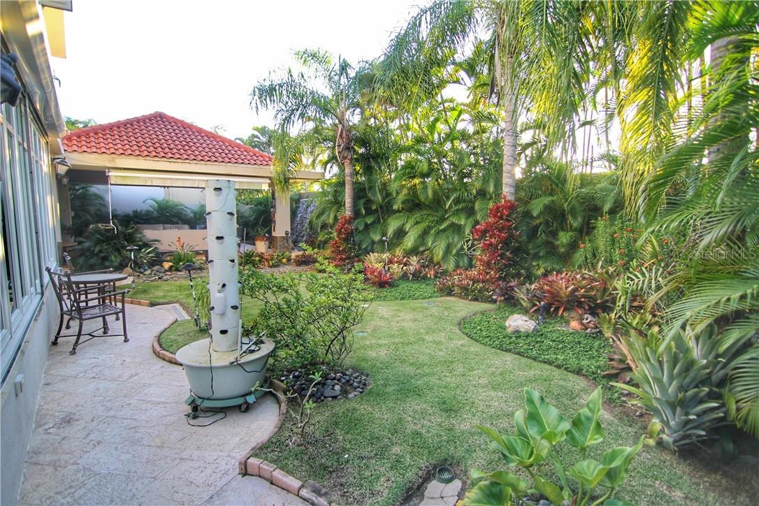 DORADO BEACH EAST - Residential