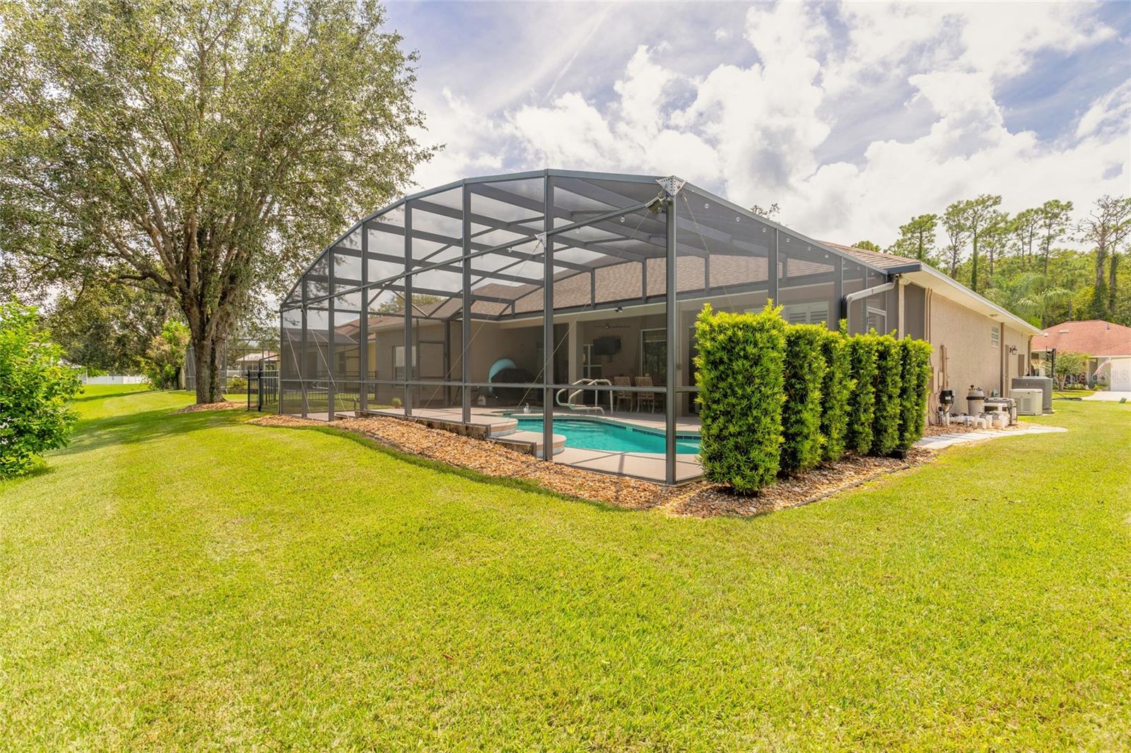 5482 TRAKIA TRAIL