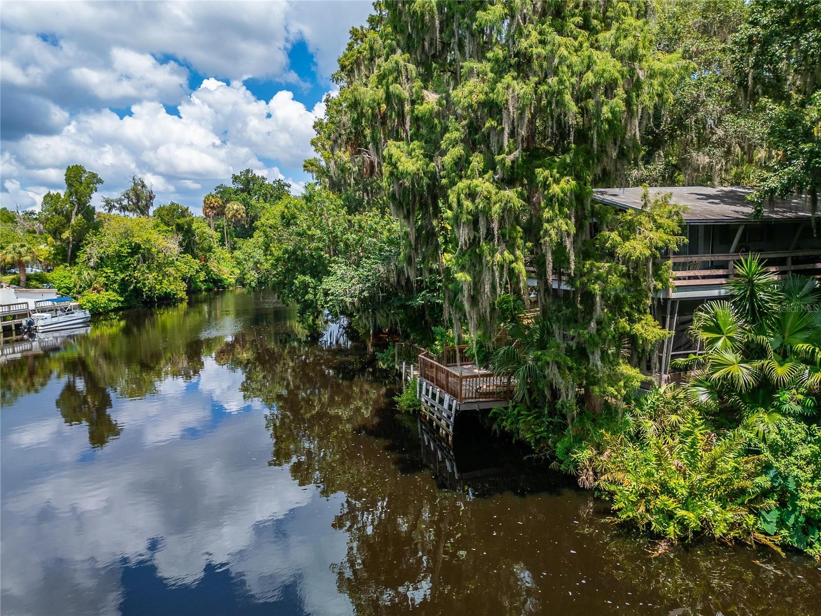 Photo 6 of 100 of 4202 ALAFIA BOULEVARD house