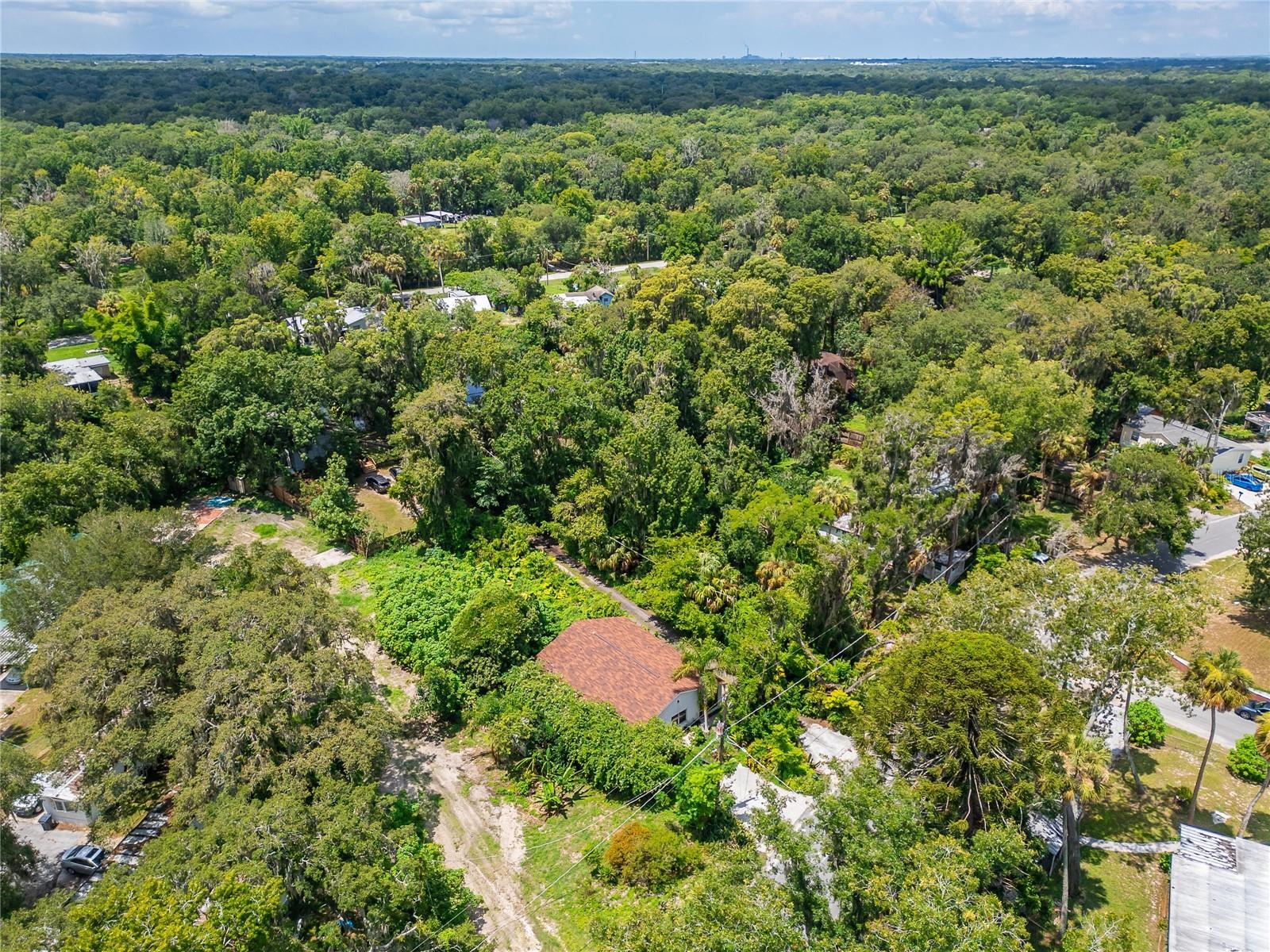 Photo 19 of 100 of 4202 ALAFIA BOULEVARD house