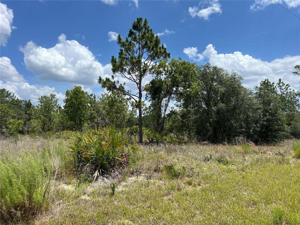 Photo of 3309 W Hampshire Boulevard, Citrus Springs, FL 34433 (MLS # S5155334)