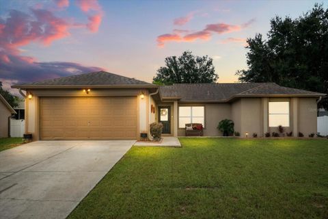 Photo of 11805 Foxglove Drive, Clermont, FL 34711 (MLS # O6350832)