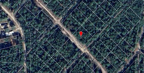 118 N CAROLINA DRIVE SATSUMA FL 32189