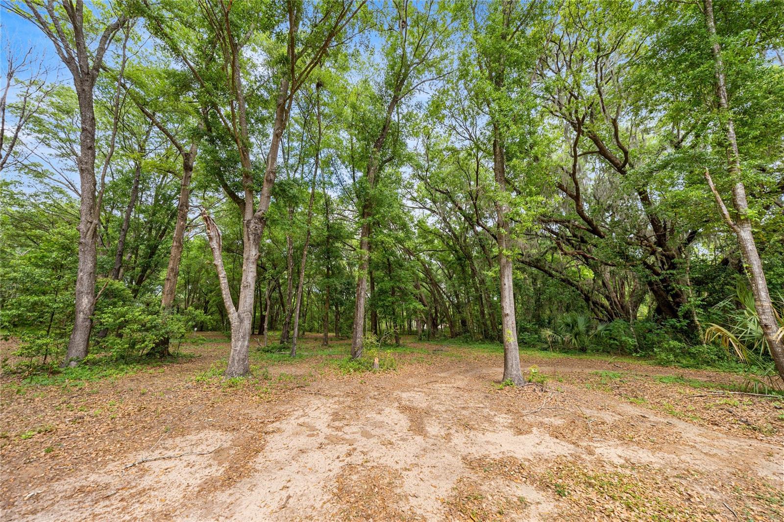 BELLEVIEW RANCHETTES - Residential