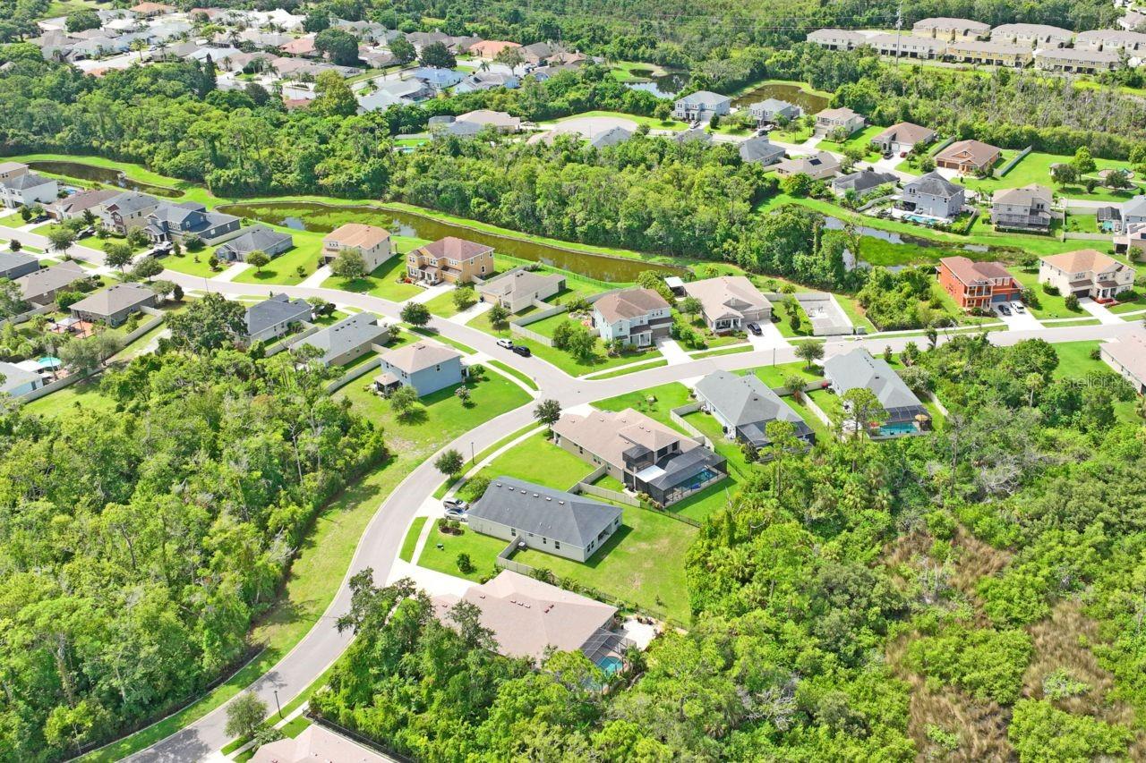 VISTA LKS/BAILEYS BLUFF - Residential